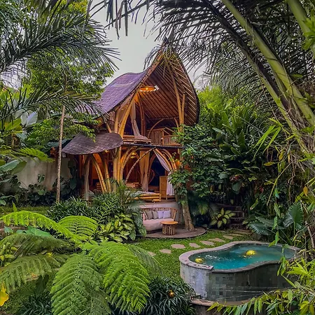 Hotel Wahem Eco Bamboo