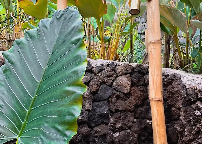 Кемпинг Wahem Eco Bamboo - Wahem Tebenan Убуд
